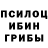 Галлюциногенные грибы прущие грибы Ilya Salahov