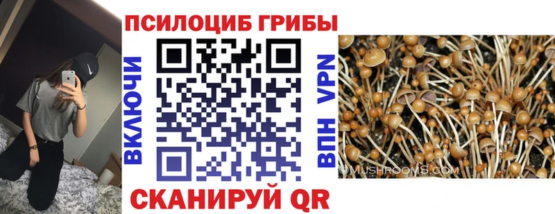 наркошоп  Мглин  Псилоцибиновые грибы ЛСД 
